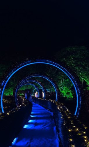 Wedding blue arches