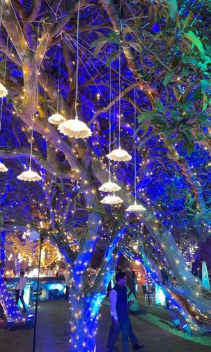 Wedding lit tree