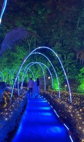 Wedding arch walkway